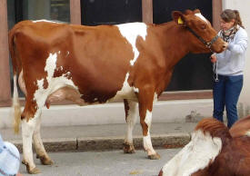 Sommers Marylou