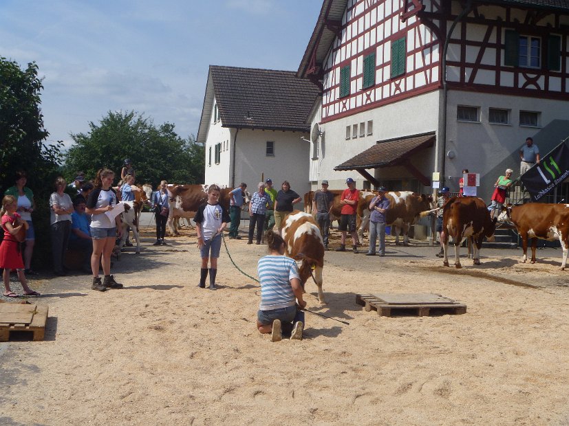 bild018