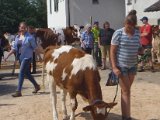 bild011.JPG