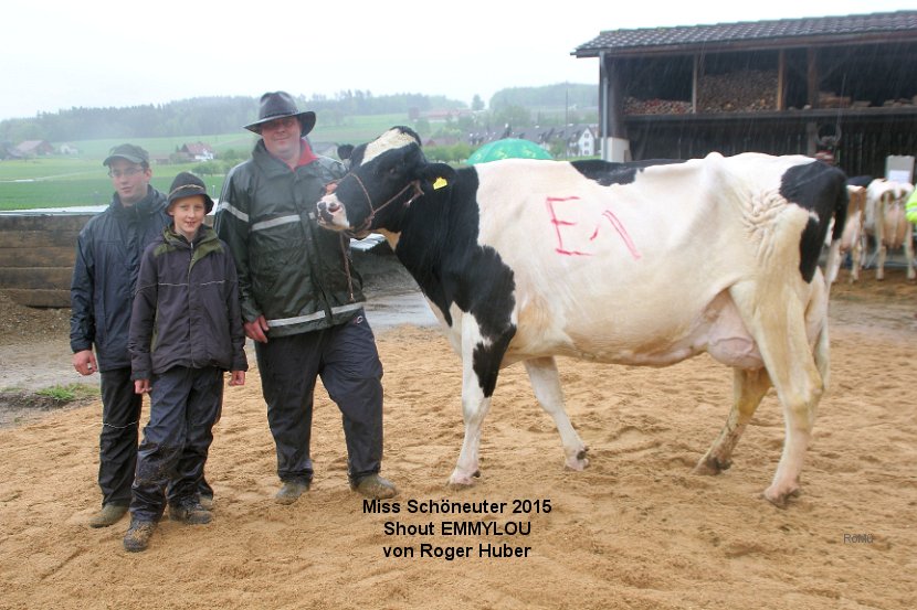 Miss Schöneuter 2015, Shout EMMYLOU