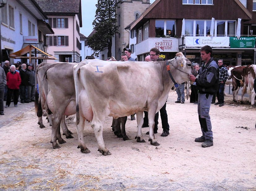 Gewinner Genetikpreis