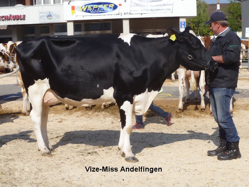 Vize-Miss Andelfingen