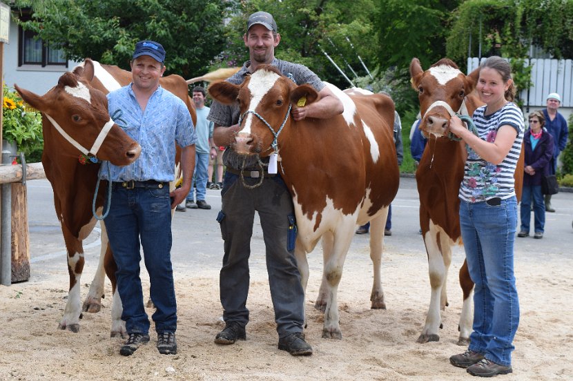 Sommers Kevin PANDORA, SHAKIRA und PESCA