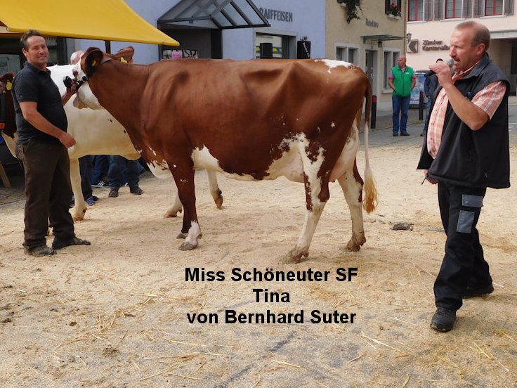 Miss Schöneuter SF
