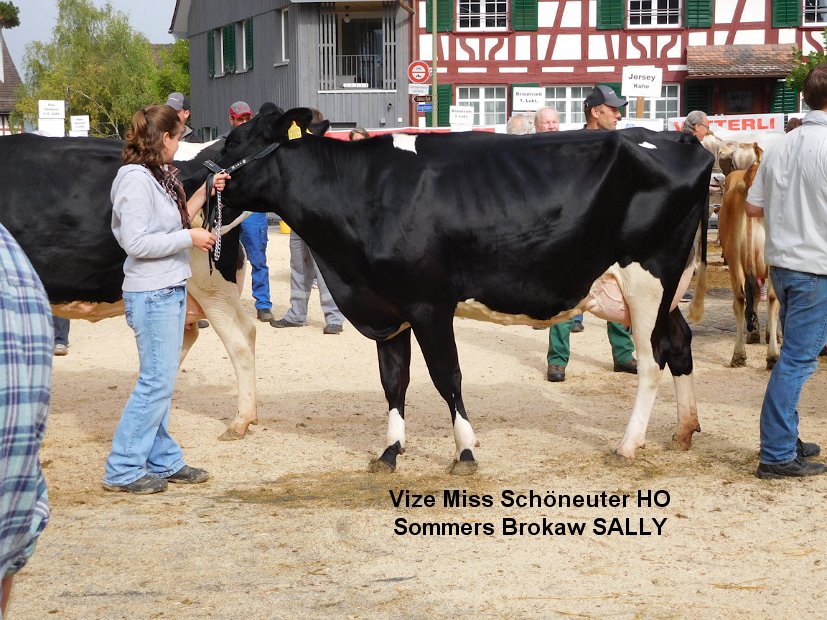Sommers Brokaw SALLY, Vize Miss Schöneuter HO