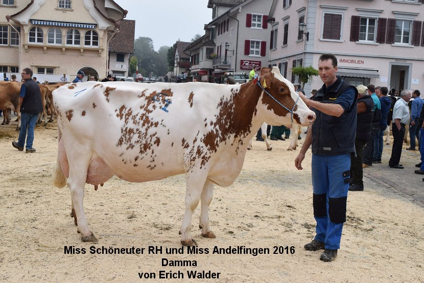 Miss Schöneuter RH und Miss Andelfingen 2016