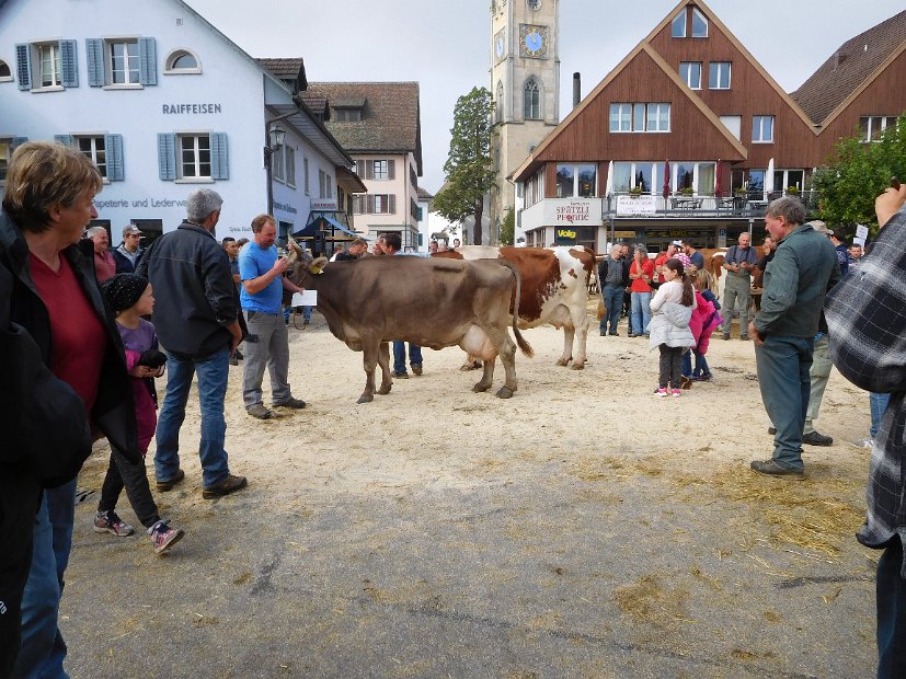 Wilmar WOLGA, über 100'000 Liter Lebensleistung