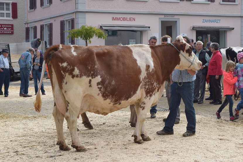 Arcliff KALENA, über 100'000 Liter Lebensleistung