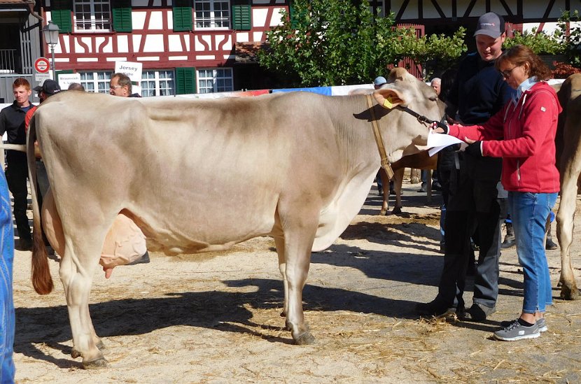 Miss Schöneuter BV, Zolivo NADINE von Martin Vogt