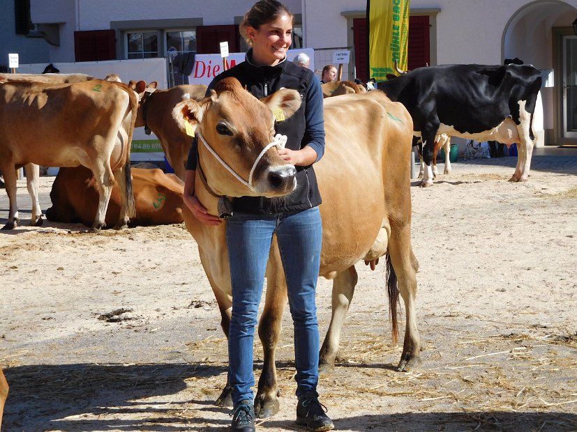 Miss Schöneuter Jersey, Holmer DAINA von Seraina Jäger