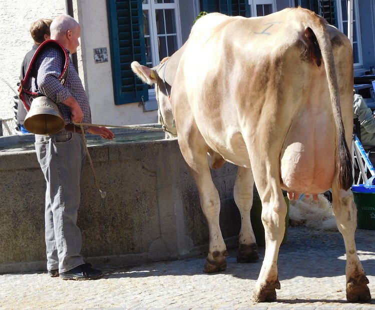 Frisch gestärkt gehts nach Hause