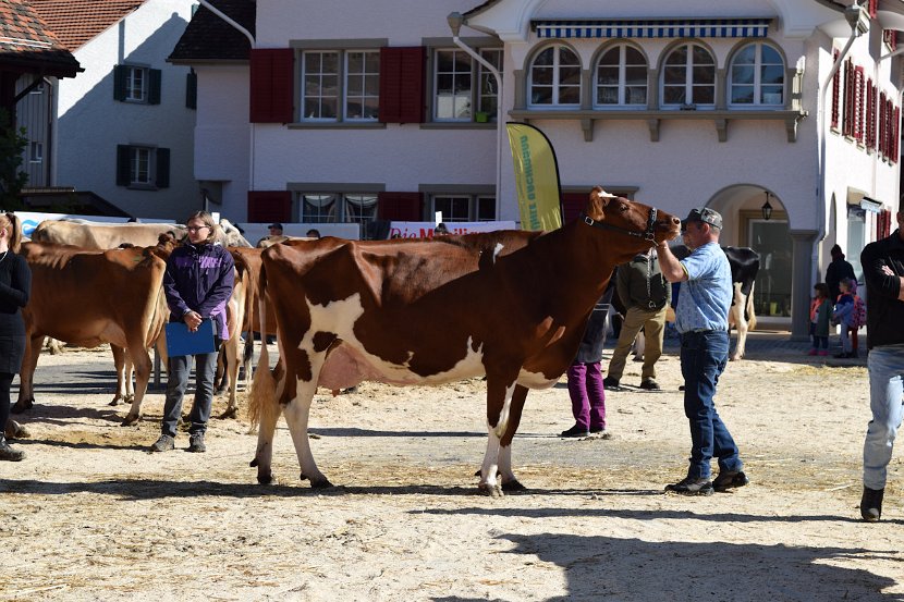 Sommers Kevin PESCA, Vize-Miss Schöneuter RH