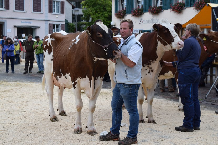 Miss Andelfingen 2019