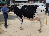 DSC_0622.JPG