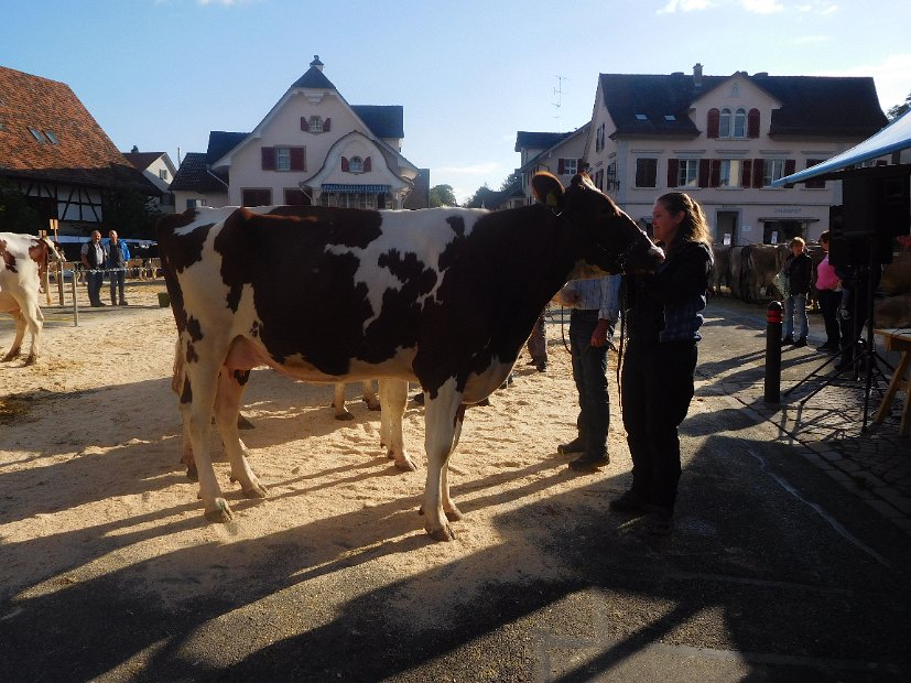 Sommers Bad VELLA, 1. Rang 1. Lakt