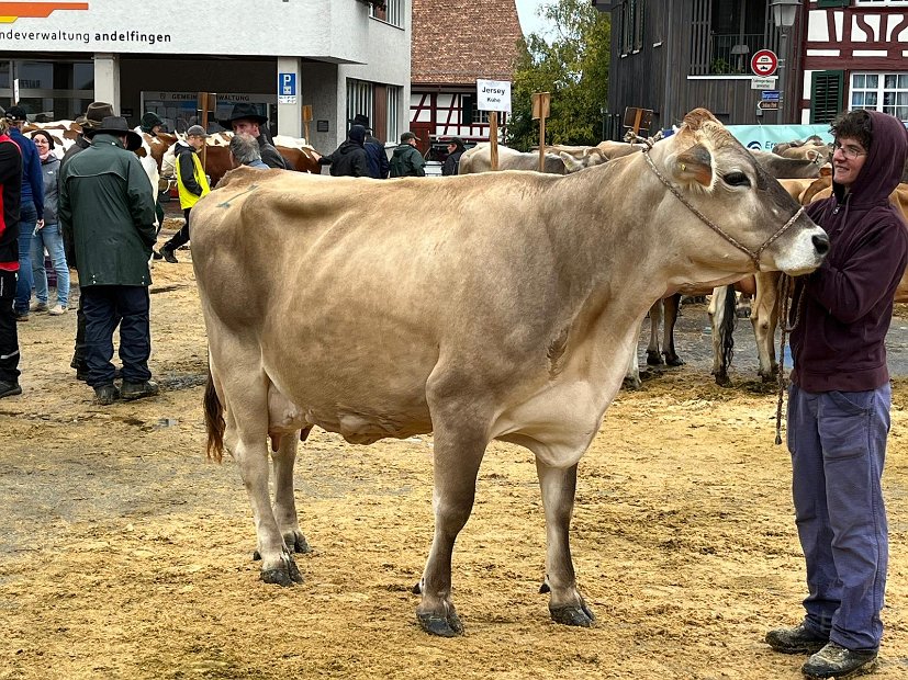 Miss Andelfingen 2022, WARTA von Martin Hübscher